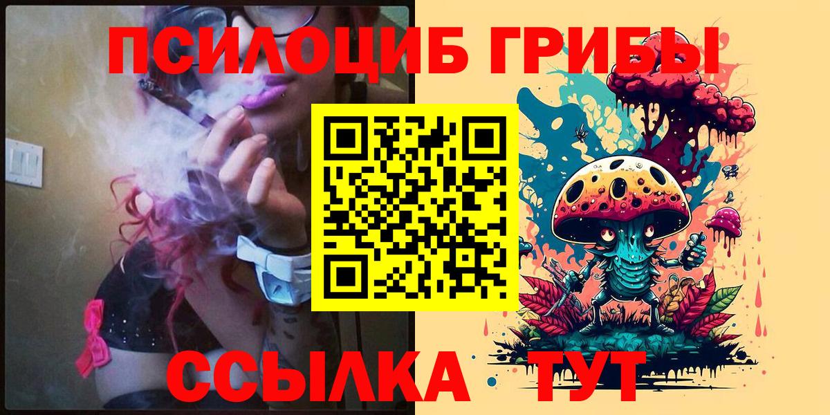 Псилоцибиновые грибы прущие грибы Гай