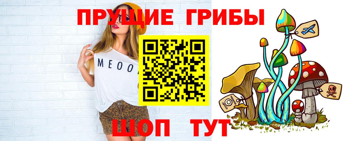 Псилоцибиновые грибы Psilocybine cubensis  Галлюциногенные грибы Psilocybine cubensis  Гай  Вход с VPN 